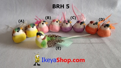 BRH 5 a  large2